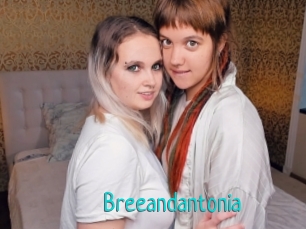 Breeandantonia