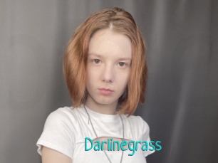 Darlinegrass