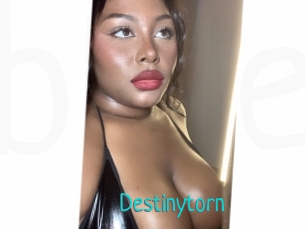 Destinytorn