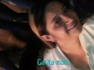 Gatita_mala