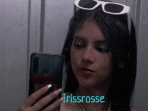 Irissrosse