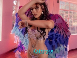 Kattrose