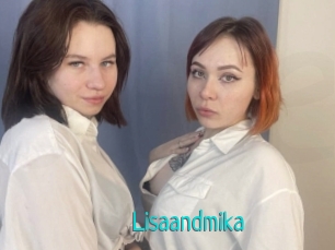 Lisaandmika