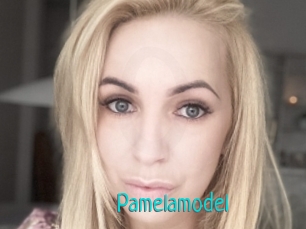 Pamelamodel