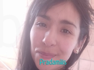 Pradamills