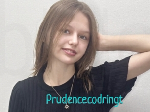 Prudencecodringt