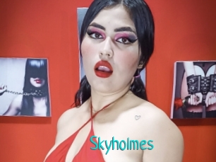 Skyholmes